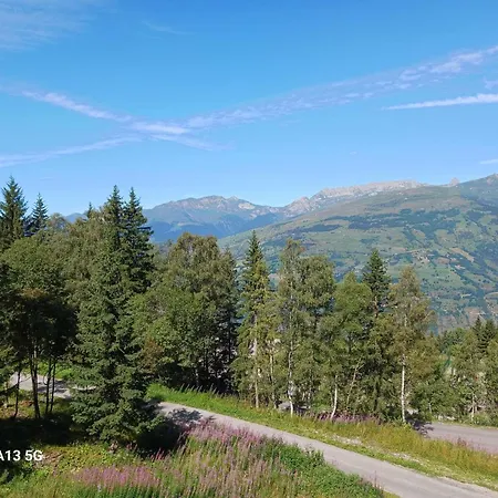 Apartamento Confortable Pour 5 Personnes Avec Wifi Et Animaux Admis, Proche Des Pistes A Arc 1800 - Fr-1-411-284 Les Arcs (Savoie)